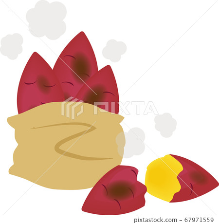  Sweet potato 67971559