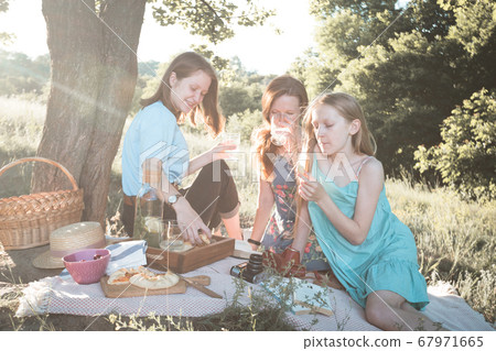 family on a picnic in a meadow in the forest family on a picnic in a meadow in the forest 67971665
