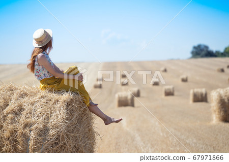 Round Bales at the field 67971866