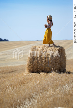 Round Bales at the field Round Bales at the field 67971875