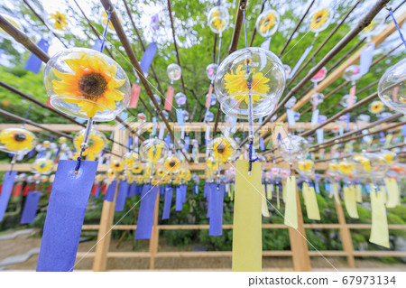 Seijuin Summer Wind Bell Festival Seijuin Summer Wind Bell Festival 67973134