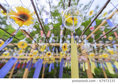 Seijuin Summer Wind Bell Festival Seijuin Summer Wind Bell Festival 67973135