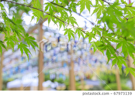 Seijuin Summer Wind Bell Festival Seijuin Summer Wind Bell Festival 67973139