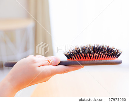 Animal hair brush, boar, copy space 4:3 Animal hair brush, boar, copy space 4:3 67973960