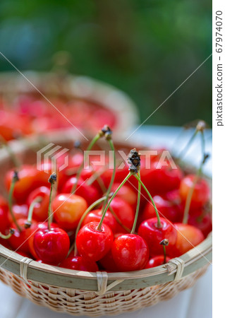 Cherry cherries Cherry cherries 67974070