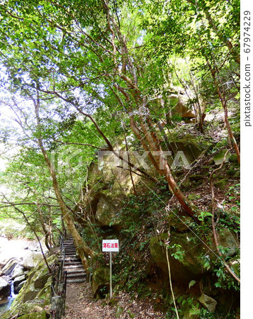 野豬谷 野豬谷 67974229