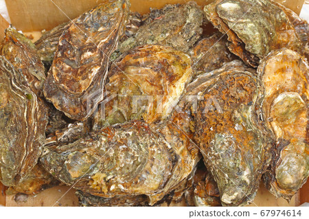 Raw Oysters Raw Oysters 67974614