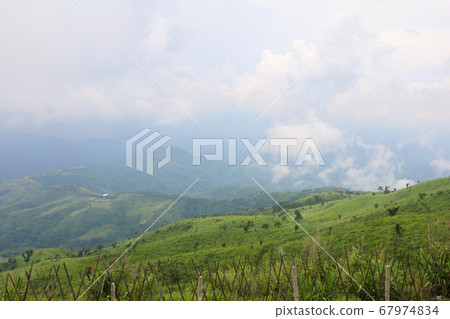 view of landscape is green grass on nature view of landscape is green grass on nature 67974834