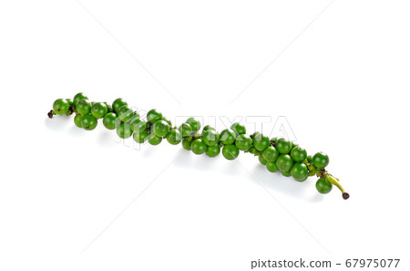 Green peppercorns isolated on white background 67975077