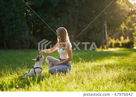 Young smiling woman training french bulldog in park. Young smiling woman training french bulldog in park. 67976842