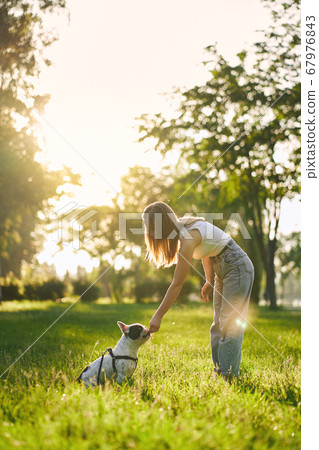 Young woman feeding french bulldog in park. Young woman feeding french bulldog in park. 67976843