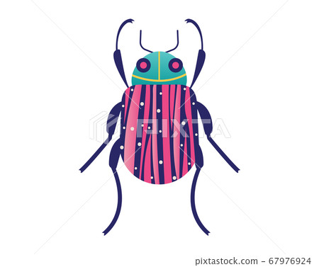 Wild organic wildlife, forest cockroach beetle isolated on white, icon cartoon vector illustration. Living nature animal, bug moth insect. Wild organic wildlife, forest cockroach beetle isolated on white, icon cartoon vector illustration. Living nature animal, bug moth insect. 67976924
