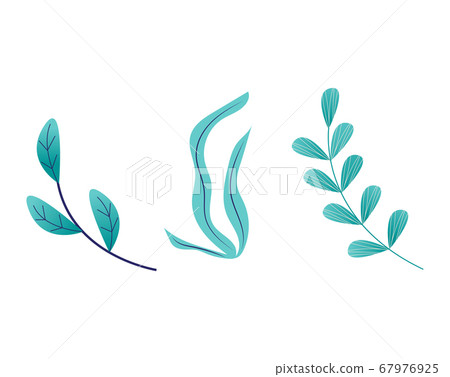 Bright rich grass spring blossom grow up isolated on white, cartoon vector illustration. Green leaf on peduncle stem, fall different weed. Bright rich grass spring blossom grow up isolated on white, cartoon vector illustration. Green leaf on peduncle stem, fall different weed. 67976925