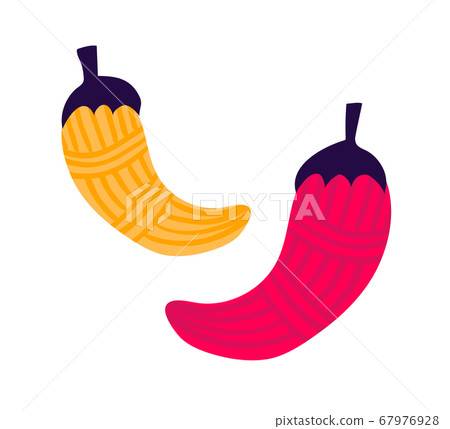 Hot red pepper hanging by thread, concept mexican holiday stuff, five may celebration festival isolated on white, cartoon vector illustration. Hot red pepper hanging by thread, concept mexican holiday stuff, five may celebration festival isolated on white, cartoon vector illustration. 67976928