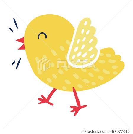 Cute domestic bird yellow joyful cheerful chick character, little bird tweet isolated on white, flat vector illustration. Springtime born new life. 67977012