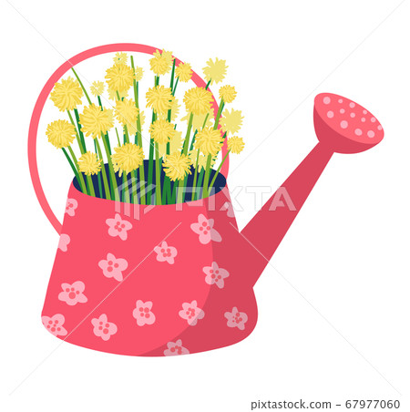 Spring watering can with garden flower, springtime mood wild floret isolated on white, flat vector illustration. Design woodland field. Spring watering can with garden flower, springtime mood wild floret isolated on white, flat vector illustration. Design woodland field. 67977060
