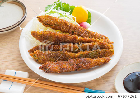 Morocco coin fly 67977261