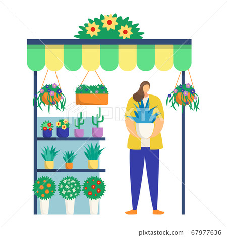 Woman character hold plants pot, female florist trade self grown flower and cactus isolated on white, flat vector illustration. Woman character hold plants pot, female florist trade self grown flower and cactus isolated on white, flat vector illustration. 67977636