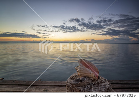Idyllic view Idyllic view 67978029