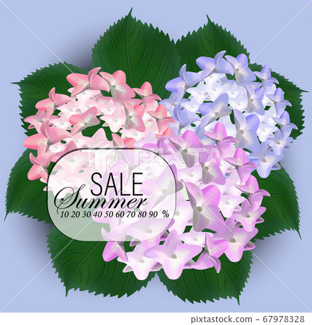 Beautiful purple flower of hydrangea. Wedding Card and engagement announcement. Invitation card template with orange blooming hydrangea over gray background. Vector illustration. Beautiful purple flower of hydrangea. Wedding Card and engagement announcement. Invitation card template with orange blooming hydrangea over gray background. Vector illustration. 67978328