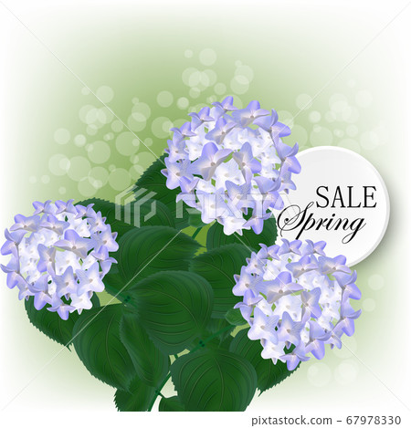 hydrangea, watercolor, flowers, greeting card, bouquet spring hydrangea, watercolor, flowers, greeting card, bouquet spring 67978330
