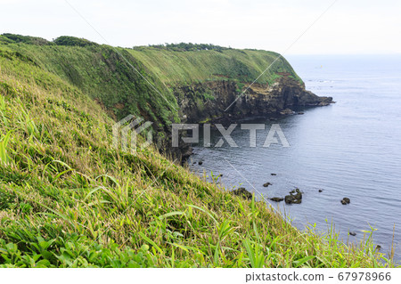 Scenery of Jogashima Island, Miura Peninsula during the rainy season 67978966