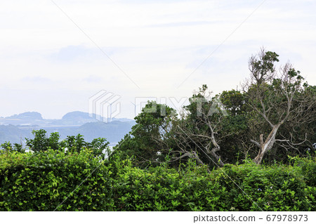Scenery of Jogashima Island, Miura Peninsula during the rainy season Scenery of Jogashima Island, Miura Peninsula during the rainy season 67978973