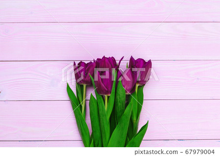Bouquet of tulip flowers on pink wood background with copy space 67979004