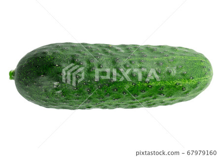 cucumber isolated on white background. creative photo. cucumber isolated on white background. creative photo. 67979160