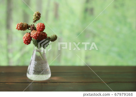 Immature blackberries in a flask Immature blackberries in a flask 67979168