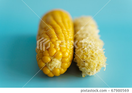 Whole and empty corn cob. Maize. Zea mays. Two boiled corncobs. One with delicious yellow-golden sweetcorn grains and the other gnawed. Organic food with dietary fiber. Isolated on blue background. 67980569