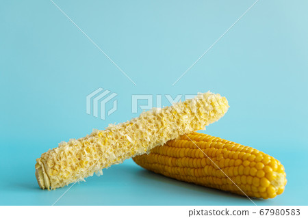 Whole and empty corn cob. Maize. Zea mays. Two boiled corncobs. One with delicious yellow-golden sweetcorn grains and the other gnawed. Organic food with dietary fiber. Isolated on blue background. Whole and empty corn cob. Maize. Zea mays. Two boiled corncobs. One with delicious yellow-golden sweetcorn grains and the other gnawed. Organic food with dietary fiber. Isolated on blue background. 67980583