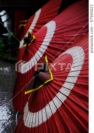 Serpent's umbrella 67980823