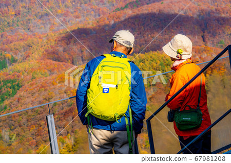 Mountaineers watching the autumn leaves [Nagano Prefecture] 67981208