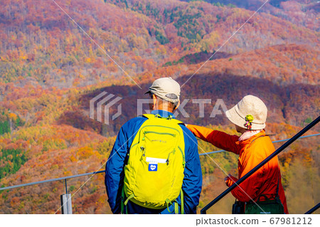 Mountaineers watching the autumn leaves [Nagano Prefecture] 67981212