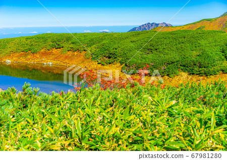 秋天的室堂和禦栗前池的美景[富山縣] 67981280