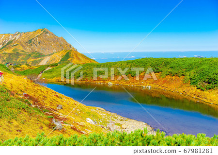 秋天的室堂和禦栗前池的美景[富山縣] 67981281