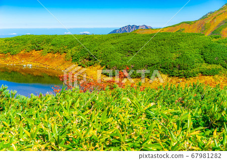 秋天的室堂和禦栗前池的美景[富山縣] 67981282