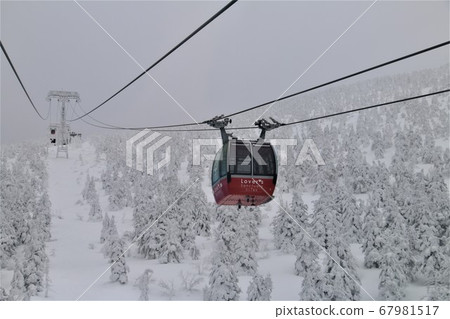 Zao Ropewi is in the world of white lovers 67981517