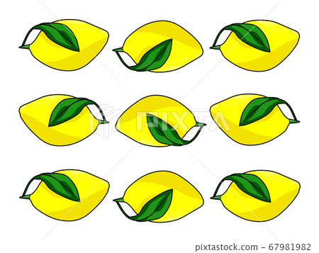 9 lemons (lemon pattern) - Stock Illustration [67981982] - PIXTA