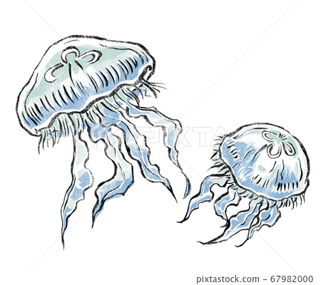 A print-style companion of two water jellyfish swimming 67982000