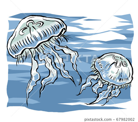 兩個游泳水母同伴畫筆繪畫和磨砂背景 67982002