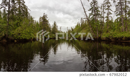 Panoramic View of a River near the Pacific Ocean 67982012