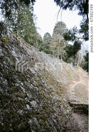 Iwamura castle 67982399