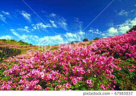 Hanwoosan Hanwoosan 67983837