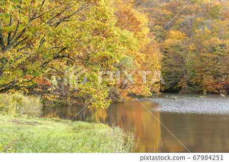 Ura Bandai Autumn, Kumazawanuma 67984251