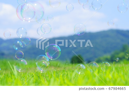 Playing with soap bubbles during the rainy season-2 Playing with soap bubbles during the rainy season-2 67984665