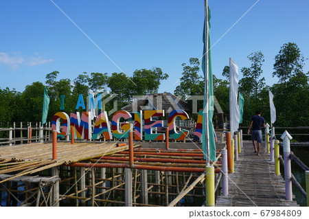 Bantayan Island Mangrove Garden Bantayan Island Mangrove Garden 67984809