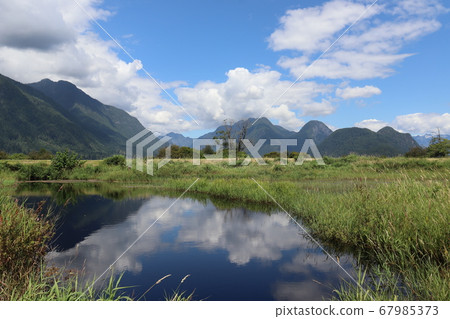 湖 山 夏天 67985373