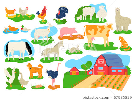 Farm domestic animals icons set isolated vector illustrations. Cow, horse, pig, goat and sheep, chicken, bull and rabbits. Barn building at farm. Farm domestic animals icons set isolated vector illustrations. Cow, horse, pig, goat and sheep, chicken, bull and rabbits. Barn building at farm. 67985839